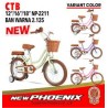 Mini 12 New Phoenix 2211