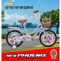 Mini 12 np 2209 AT