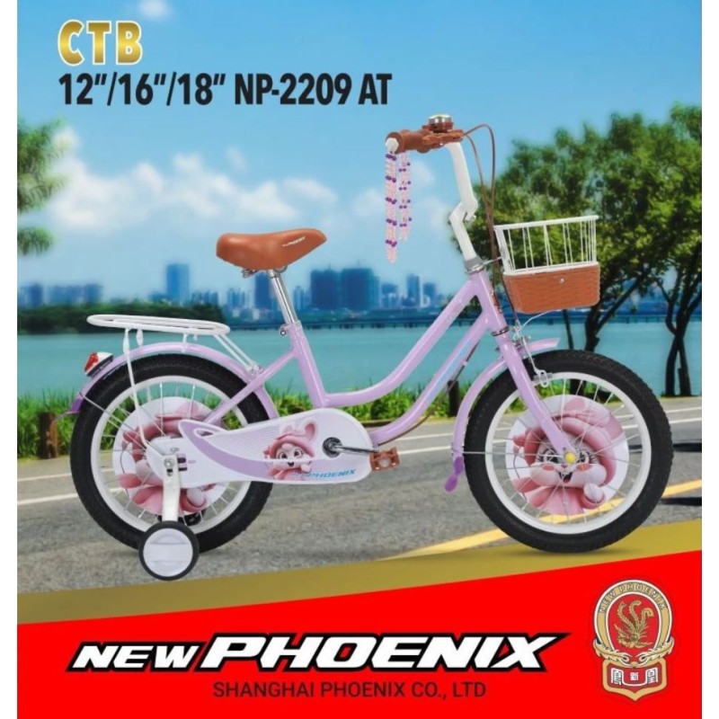 Mini 12 np 2209 AT