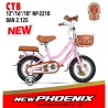 Mini 16 New Phoenix 2210