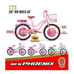 Ctb 20 New Phoenix 8855 AT