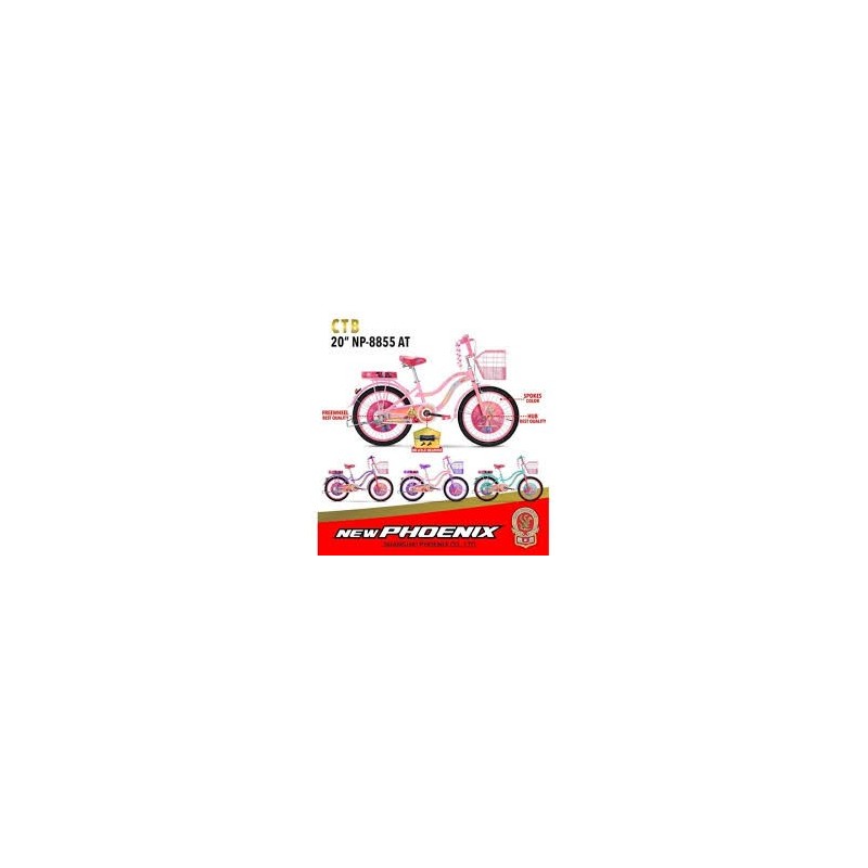 Ctb 20 New Phoenix 8855 AT