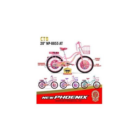 Ctb 20 New Phoenix 8855 AT
