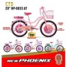 Ctb 20 New Phoenix 8855 AT