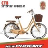 Ctb 20 new phoenix 8825 AT