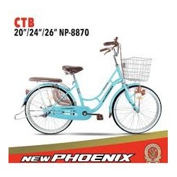 Ctb 20 new phoenix 8870