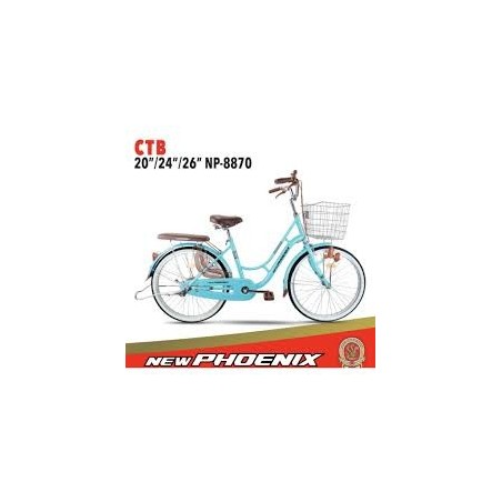 Ctb 20 new phoenix 8870