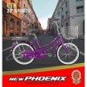 Ctb 24 New Phoenix 8820