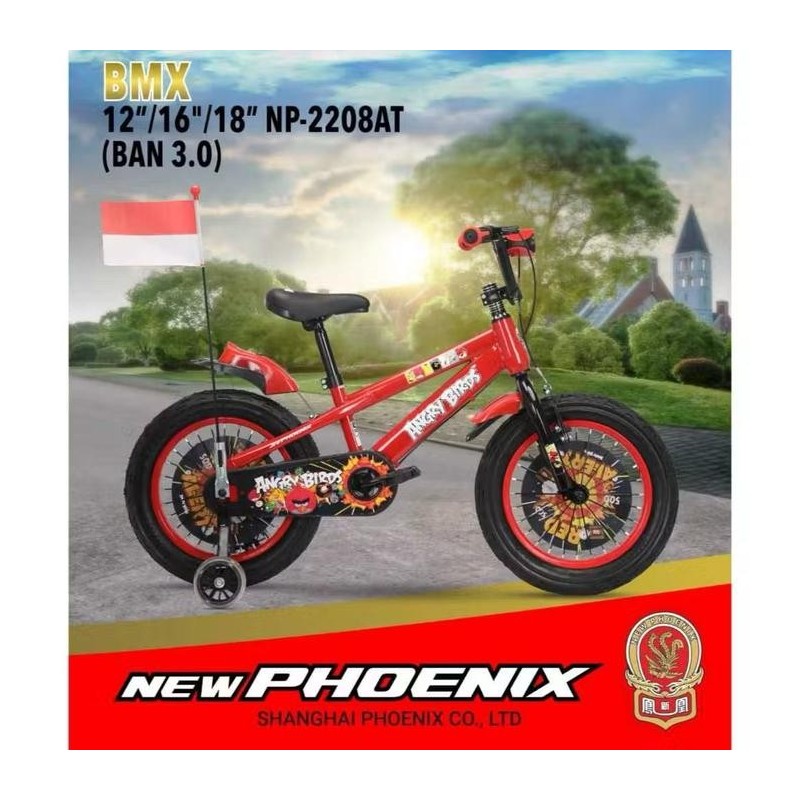 Bmx 12 New Phoenix 2208 AT ban 3.0