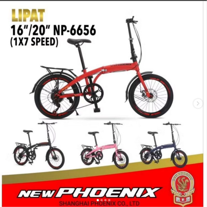 Folding 16 New Phoenix 6656