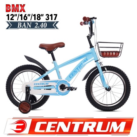BMX 18 Centrum 317