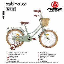 Mini 18 Pacific Astina 7.0