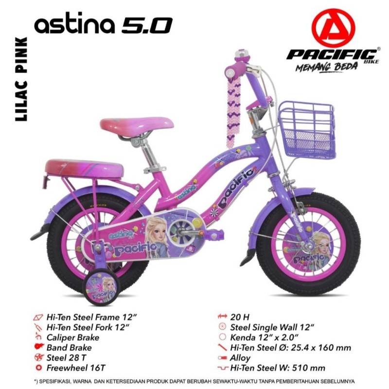 Mini 12 Pacific Astina 5.0